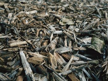 Full frame shot of driftwood