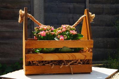 Close-up of flower pot