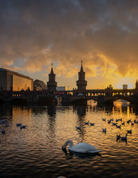 View of birds in water at sunset