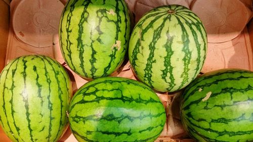 High angle view of watermelons on table