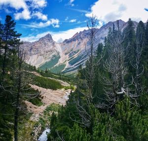 Scenic view of mountains with trees in foreground