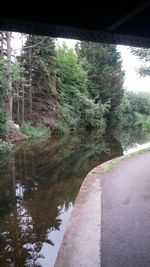 Swimming pool by trees against sky