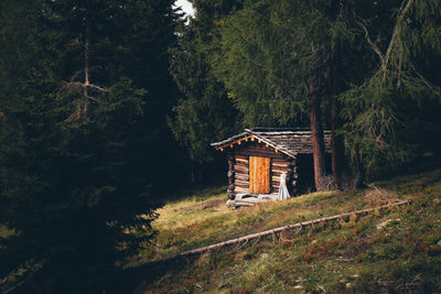 Cabin in the woods on field by trees in forest