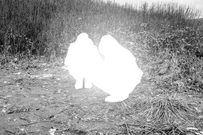High angle view of woman standing on field