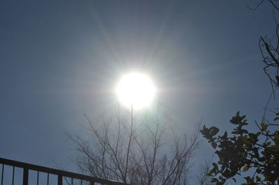 Low angle view of sun shining through trees