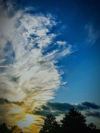 Low angle view of tree against sky