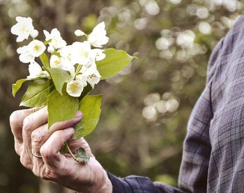 Close-up of hand holding flowering plant