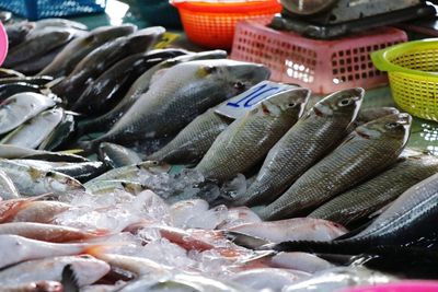 Close-up of fish for sale in market
