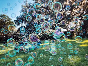 Close-up of bubbles in water