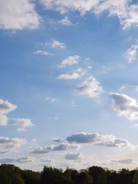Low angle view of trees against sky