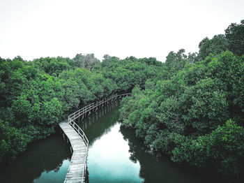 Scenic view of river in forest against clear sky