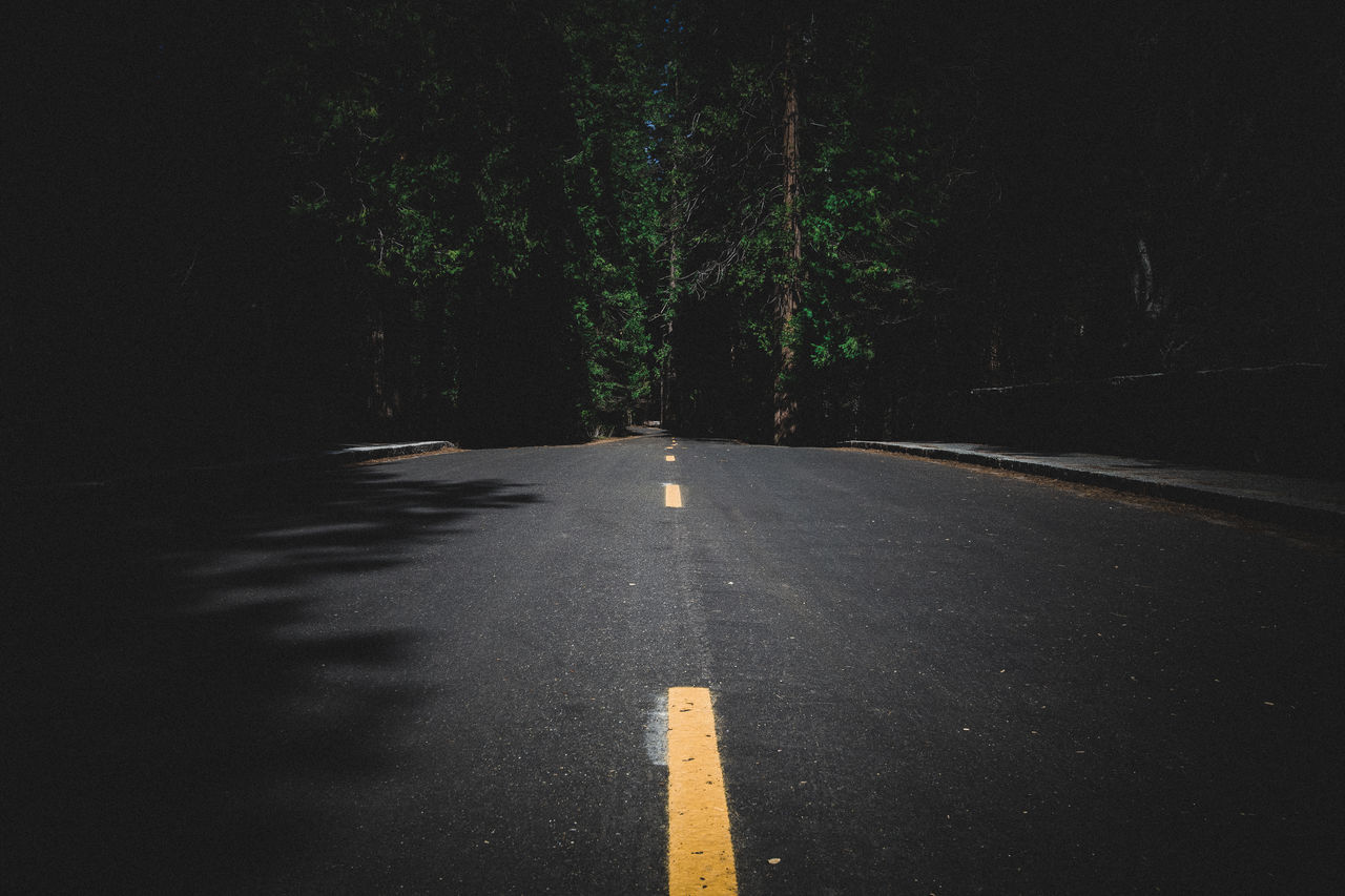 EMPTY ROAD BY TREES IN CITY