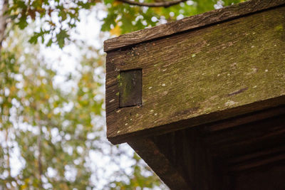Low angle view of birdhouse on building