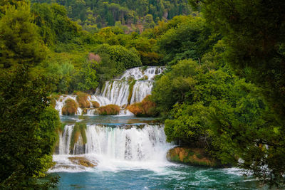 Scenic view of waterfall in forest