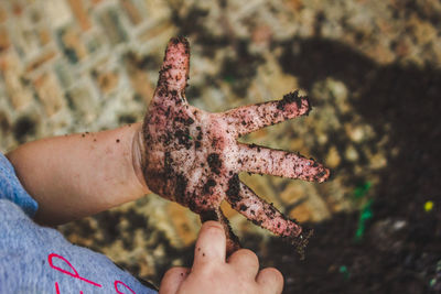 Close-up of hand holding leaf at beach