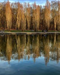 Reflection of trees in lake against sky