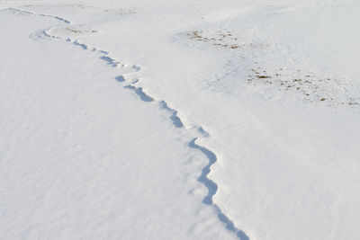 High angle view of ice tracks on snow