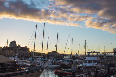 Sailboats in marina at sunset