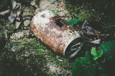 Close-up of rusty metal on field