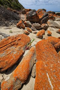 High angle view of rocks on shore