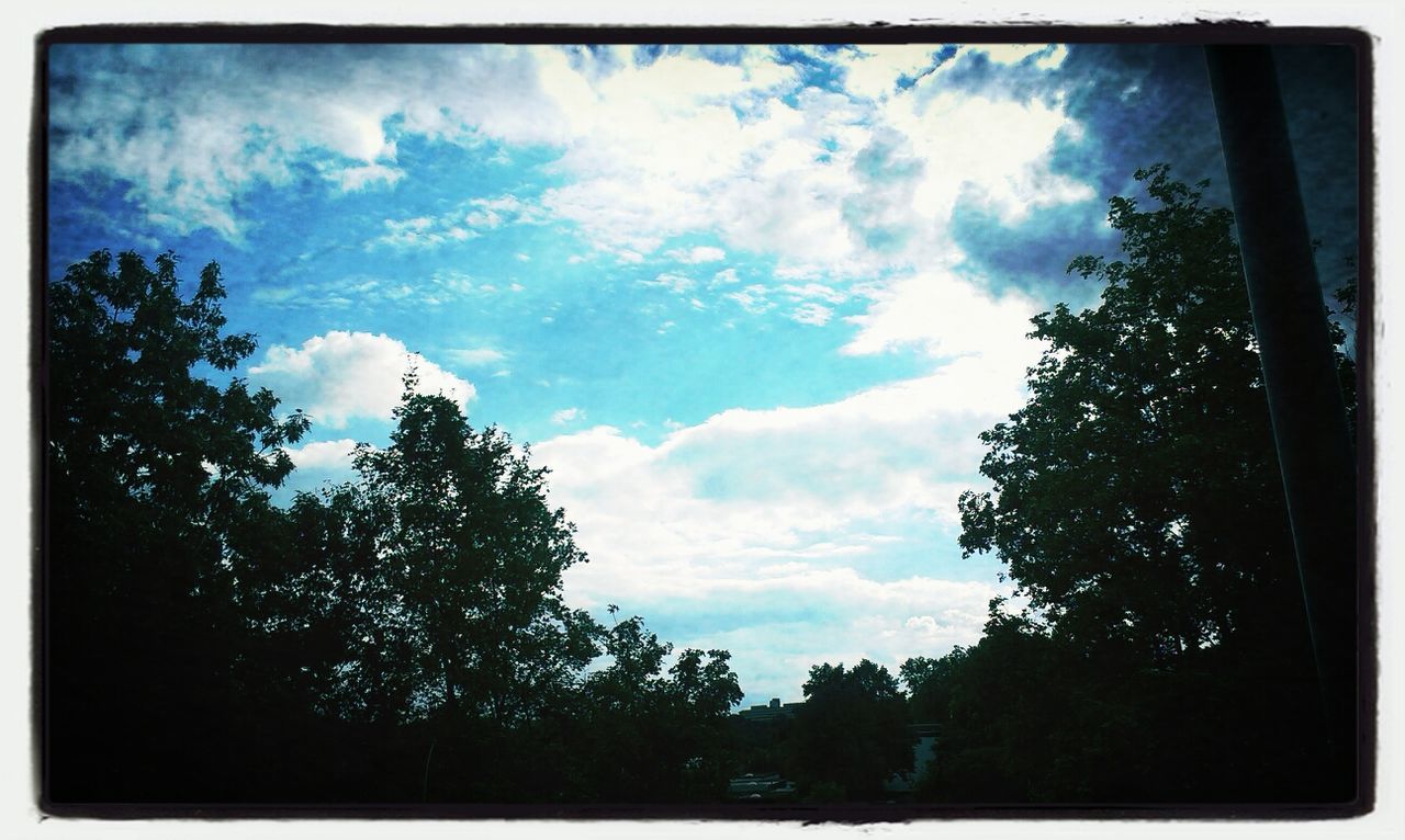 transfer print, tree, sky, silhouette, auto post production filter, tranquility, tranquil scene, cloud - sky, beauty in nature, scenics, low angle view, nature, cloud, growth, cloudy, outdoors, no people, non urban scene, idyllic, landscape