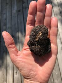 Close-up of person holding ice cream