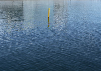 High angle view of yellow water in sea