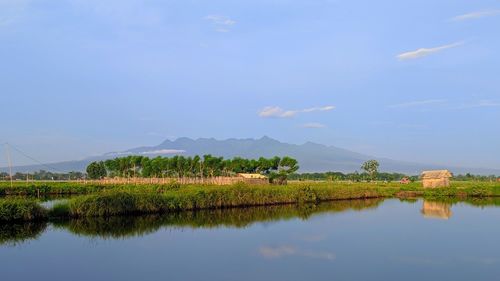 Scenic view of lake against sky