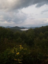 Scenic view of landscape against cloudy sky