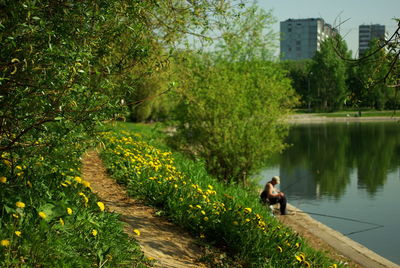 A calm scene of a sandy path along the lake in moscow city park, with a fisherman at the background
