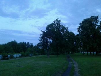 Trees on grassy field