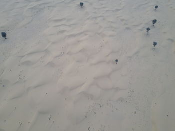 Full frame shot of beach