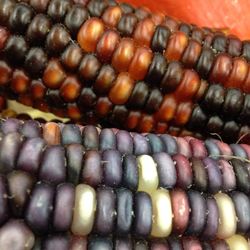 Full frame shot of objects