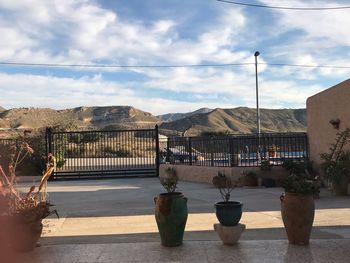 Potted plants on street against mountains in city