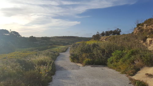 Scenic view of road by trees against sky