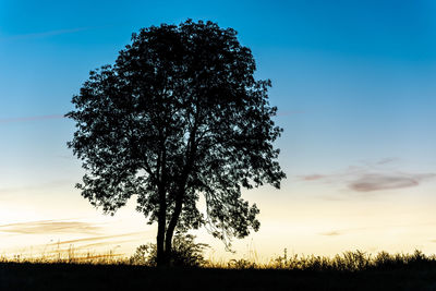 Silhouette tree on field against sky at sunset