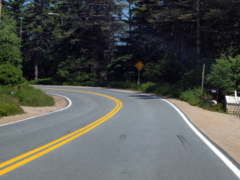 Road amidst trees