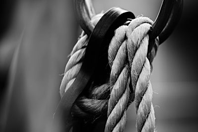 Close-up of rope tied on wooden post