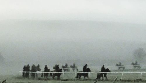 Horses grazing on field against sky