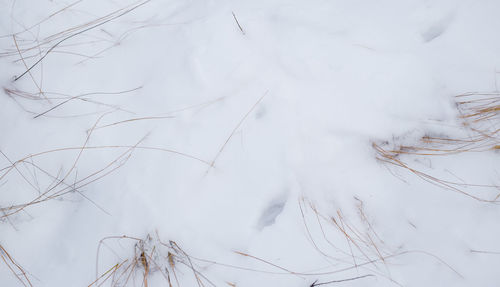 Full frame shot of snow covered land