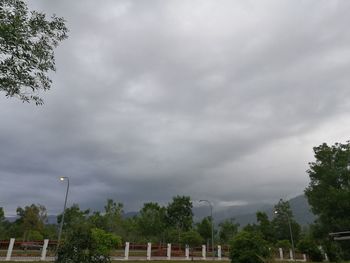 Low angle view of storm clouds over trees