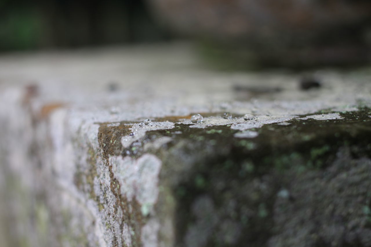 CLOSE-UP OF STONE WALL WITH MOSS