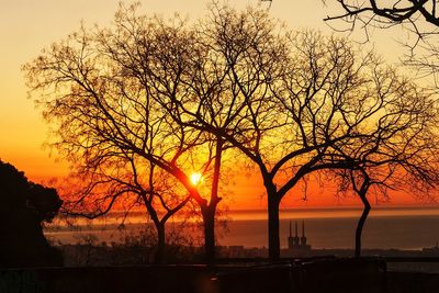 Silhouette bare tree against sky during sunset