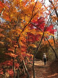 Rear view of mature woman walking at park during autumn