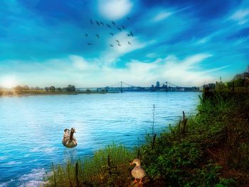 Birds flying over lake against sky