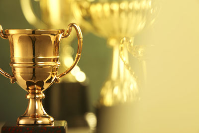 Close-up of trophies