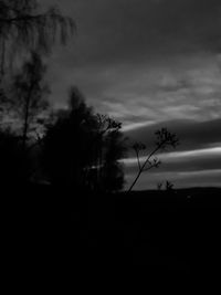 Silhouette trees on field against sky at sunset