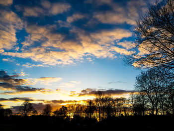 Silhouette trees and plants against dramatic sky during sunset