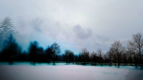 Trees on snow covered landscape against sky