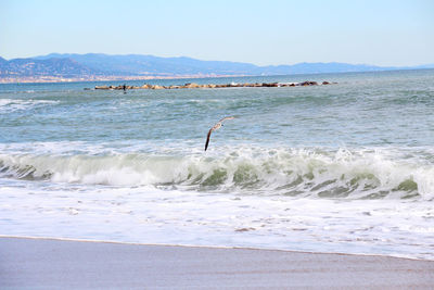 Scenic view of beach against clear sky